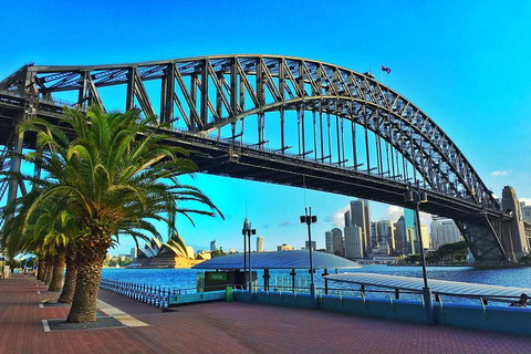 Sydney Half Day Tour With A Local: 100% Personalized & Private â˜…â˜…â˜…â˜…â˜… - Accommodation Gladstone 1
