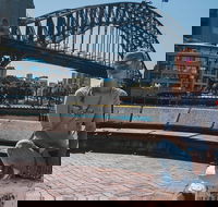 Sydney Private Tours by Locals 100 Personalized See the City Unscripted - Accommodation Gladstone