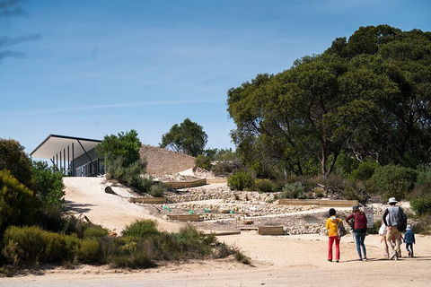 2-Hour Koala Walking Tour In Kangaroo Island - Accommodation Gladstone 3