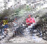 2 Hour Bike Tour in Kangaroo Island - Accommodation Gladstone