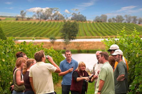 Yarra Valley Wine And Winery Tour From Melbourne - Accommodation Gladstone 0