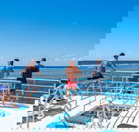 Calypso Outer Great Barrier Reef Cruise from Port Douglas - Accommodation Gladstone