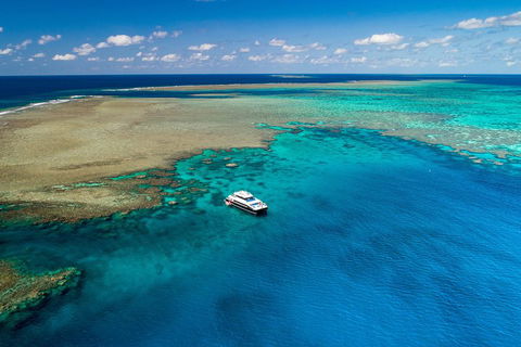 Calypso Outer Great Barrier Reef Cruise From Port Douglas - Accommodation Gladstone 1