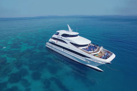 Full Day Reef Cruise Including 10 Minute Heli Scenic Flight: Get High Package - Accommodation Gladstone 4