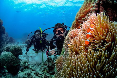 Full Day Reef Cruise Including 10 Minute Heli Scenic Flight: Get High Package - Accommodation Gladstone 5