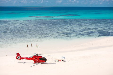 Private Helicopter Tour: Reef Island Snorkeling And Gourmet Picnic Lunch - Accommodation Gladstone 2