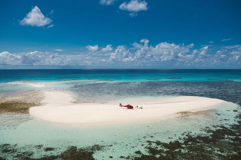 Private Helicopter Tour: Reef Island Snorkeling And Gourmet Picnic Lunch - Accommodation Gladstone 4