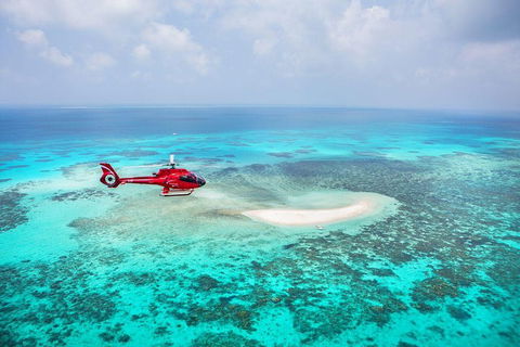 Private Helicopter Tour: Reef Island Snorkeling And Gourmet Picnic Lunch - Accommodation Gladstone 5