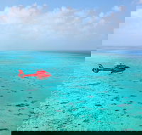 Port Douglas Scenic Flights - Accommodation Gladstone