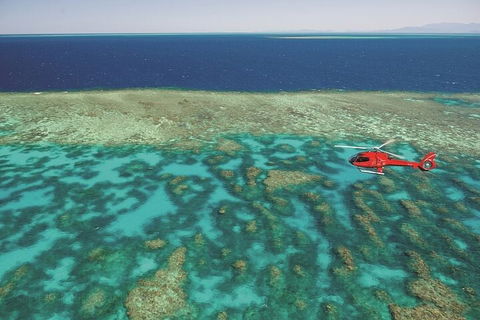 Cruise Out And Cruise Return, Plus 10 Minute Scenic Flight - Accommodation Gladstone 4