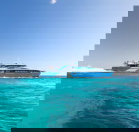Fremantle to Rottnest Island Roundtrip Ferry Ticket - Accommodation Gladstone