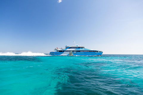 Rottnest Island Bike, Snorkel & Ferry Package From Fremantle - Accommodation Gladstone 0