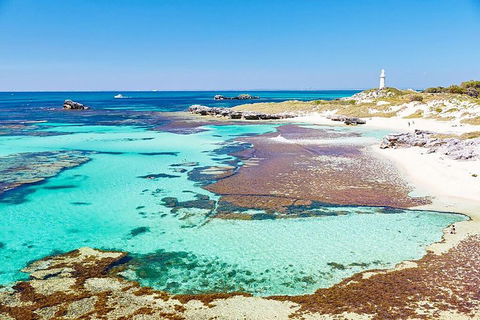 Rottnest Island Bike, Snorkel & Ferry Package From Fremantle - Accommodation Gladstone 4