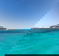 Rottnest Island Fortress Adventure Segway Package from Fremantle - Accommodation Gladstone