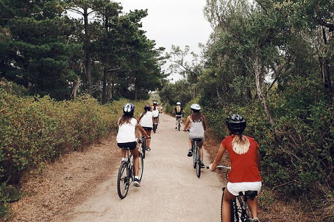 Self-Guided Point Nepean National Park Bike Hire - Accommodation Gladstone 3