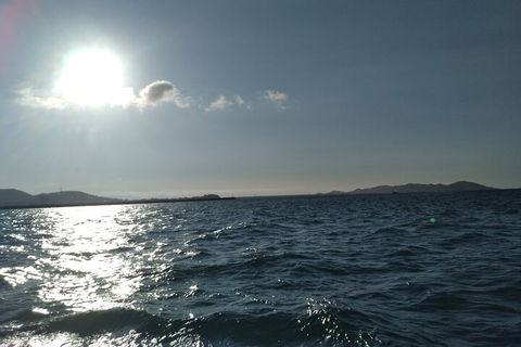 Townsville Small Group Early Morning Sailing Cruise Boat Tour Charter Hire - Accommodation Gladstone 4