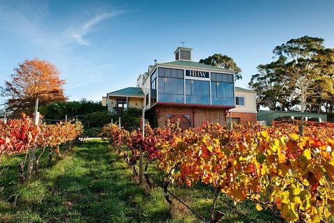 Adelaide Hills Food, Wine, Cheese, & Chocolate - Private Day Tour - Accommodation Gladstone 3