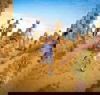 Full-Day Pinnacles Desert and Yanchep National Park Tour From Perth - Accommodation Gladstone