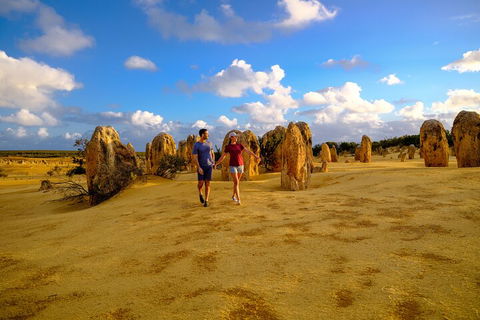 Half Day Pinnacles Sunset Tour - Accommodation Gladstone 1