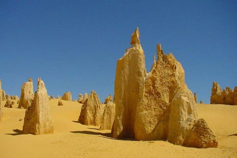 Half Day Pinnacles Sunset Tour - Accommodation Gladstone 2