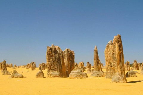 Half Day Pinnacles Sunset Tour - Accommodation Gladstone 5