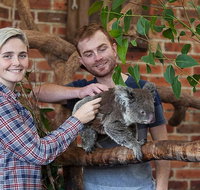Private Tour Blue Mountains Day Trip from Sydney - Accommodation Gladstone