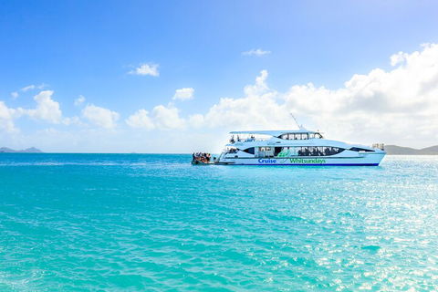 Whitehaven Beach And Daydream Island Cruise - Accommodation Gladstone 2