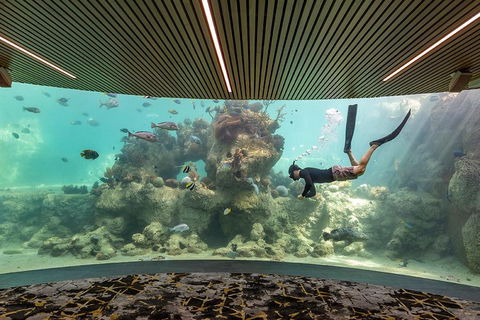 Whitehaven Beach And Daydream Island Cruise - Accommodation Gladstone 4