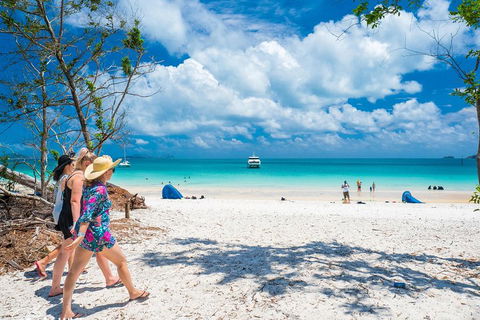 Whitehaven Beach Half-Day Cruises - Accommodation Gladstone 1