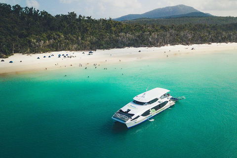 Whitehaven Beach Half-Day Cruises - Accommodation Gladstone 2