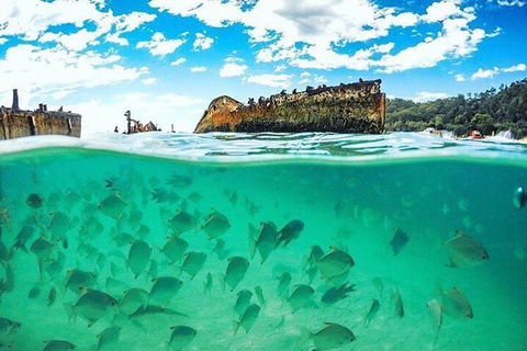 Adventure Moreton Island Day Pass - Accommodation Gladstone 4
