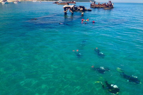 Adventure Moreton Island Scuba Dive Tour - Accommodation Gladstone 0