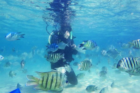 Adventure Moreton Island Scuba Dive Tour - Accommodation Gladstone 1