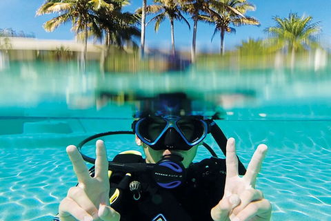Adventure Moreton Island Scuba Dive Tour - Accommodation Gladstone 2