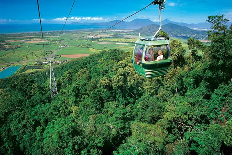 Cairns ATV Adventure Tour And Morning Skyrail - Accommodation Gladstone 2