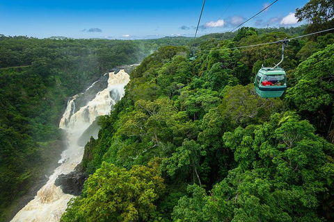 Cairns ATV Adventure Tour And Morning Skyrail - Accommodation Gladstone 3