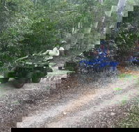 Cairns ATV Adventure Tour and Morning Train - Accommodation Gladstone