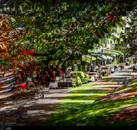 Fully Inclusive Blue Mountains Private Tour inc Scenic World  Featherdale entry - Accommodation Gladstone