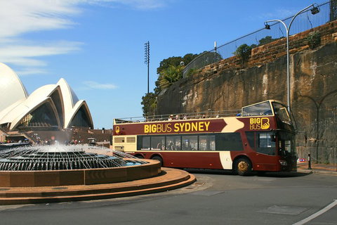 Big Bus Sydney And Bondi Hop-on Hop-off Tour - Accommodation Gladstone 3