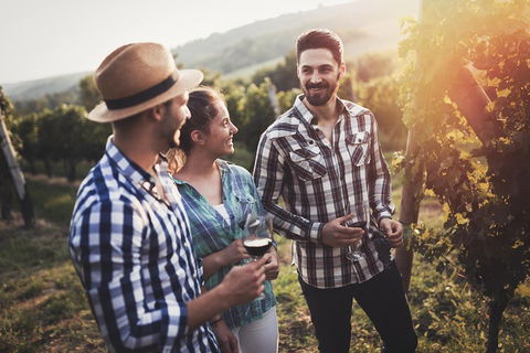 Full Day Mount Tamborine Winery Tour From Gold Coast - Accommodation Gladstone 5