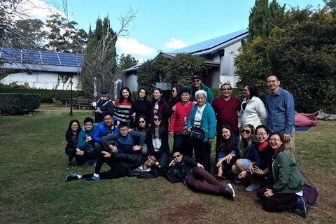 Full Day Mount Tamborine Winery Tour From Brisbane - Accommodation Gladstone 2