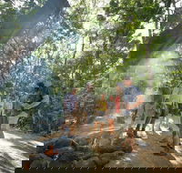 Mossman Gorge Adventure Day - Accommodation Gladstone