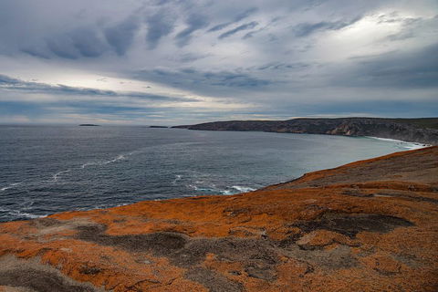 Kangaroo Island Luxury Small Group 'Flinders Chase Focus' Full Day Tour - Accommodation Gladstone 0