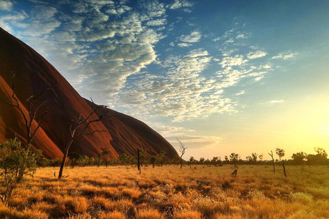 Highlights Of Uluru Including Sunrise And Breakfast - Accommodation Gladstone 0