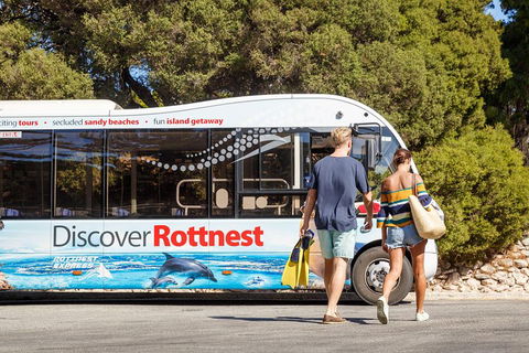 Discover Rottnest With Ferry & Bus Tour From Perth Or Fremantle - Accommodation Gladstone 1
