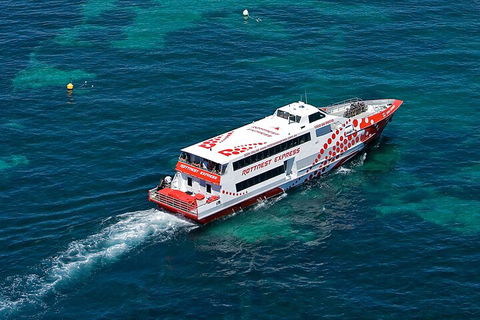 Discover Rottnest With Ferry & Bus Tour From Perth Or Fremantle - Accommodation Gladstone 3