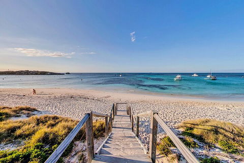 Discover Rottnest With Ferry & Bus Tour From Perth Or Fremantle - Accommodation Gladstone 4