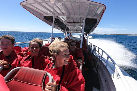 Adventure Rottnest Tour With Ferry & Adventure Cruise From Perth Or Fremantle - Accommodation Gladstone 0