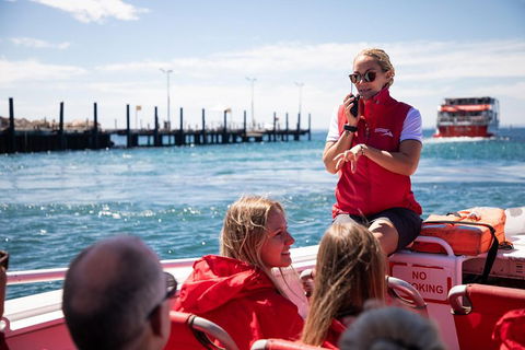 Adventure Rottnest Tour With Ferry & Adventure Cruise From Perth Or Fremantle - Accommodation Gladstone 4