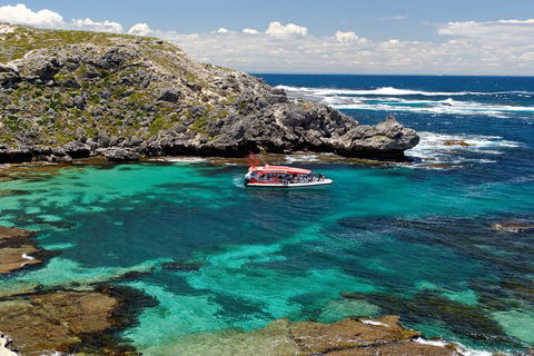 Adventure Rottnest Tour With Ferry & Adventure Cruise From Perth Or Fremantle - Accommodation Gladstone 5